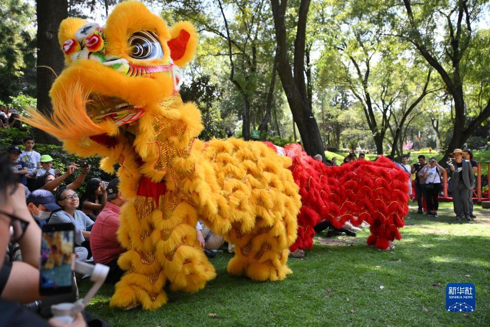 在线赌送彩金平台